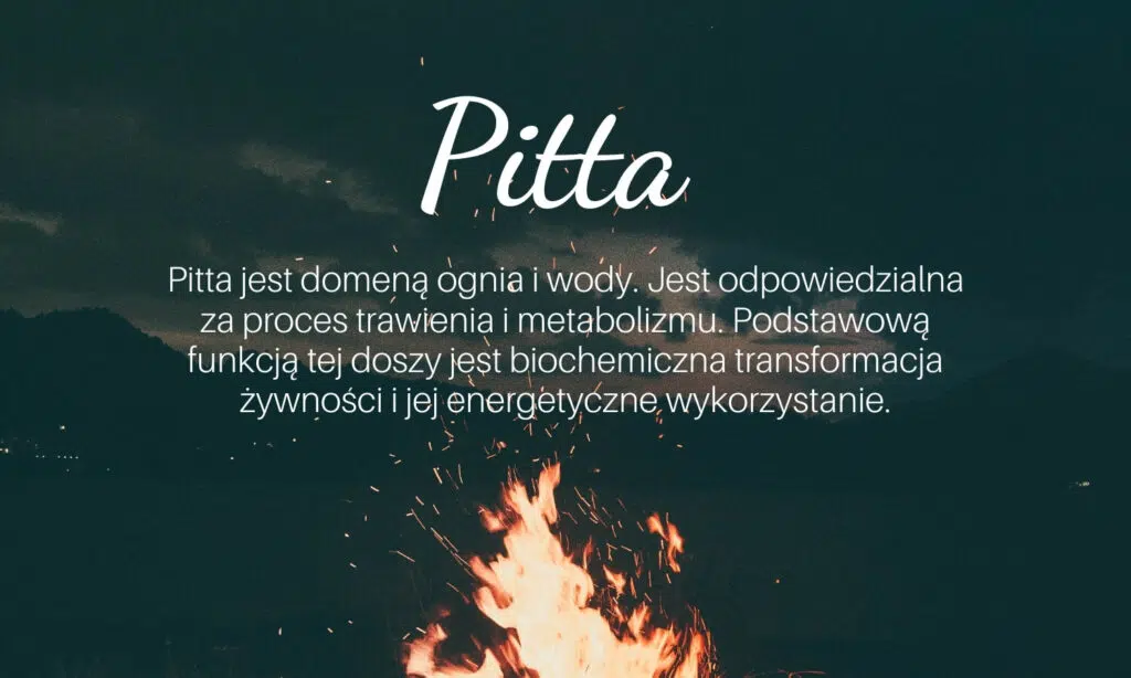 pitta