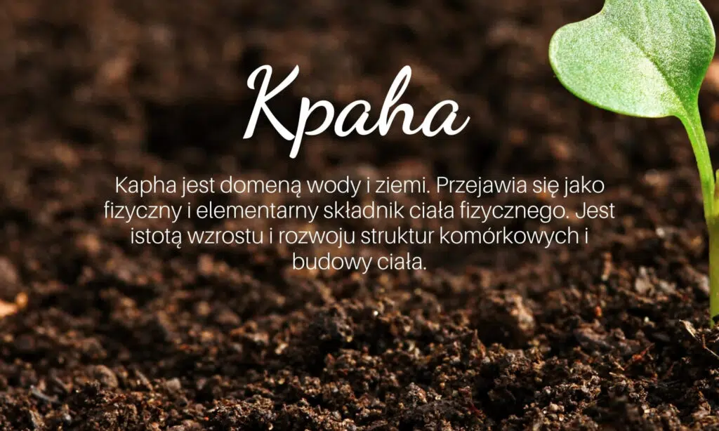 kapha
