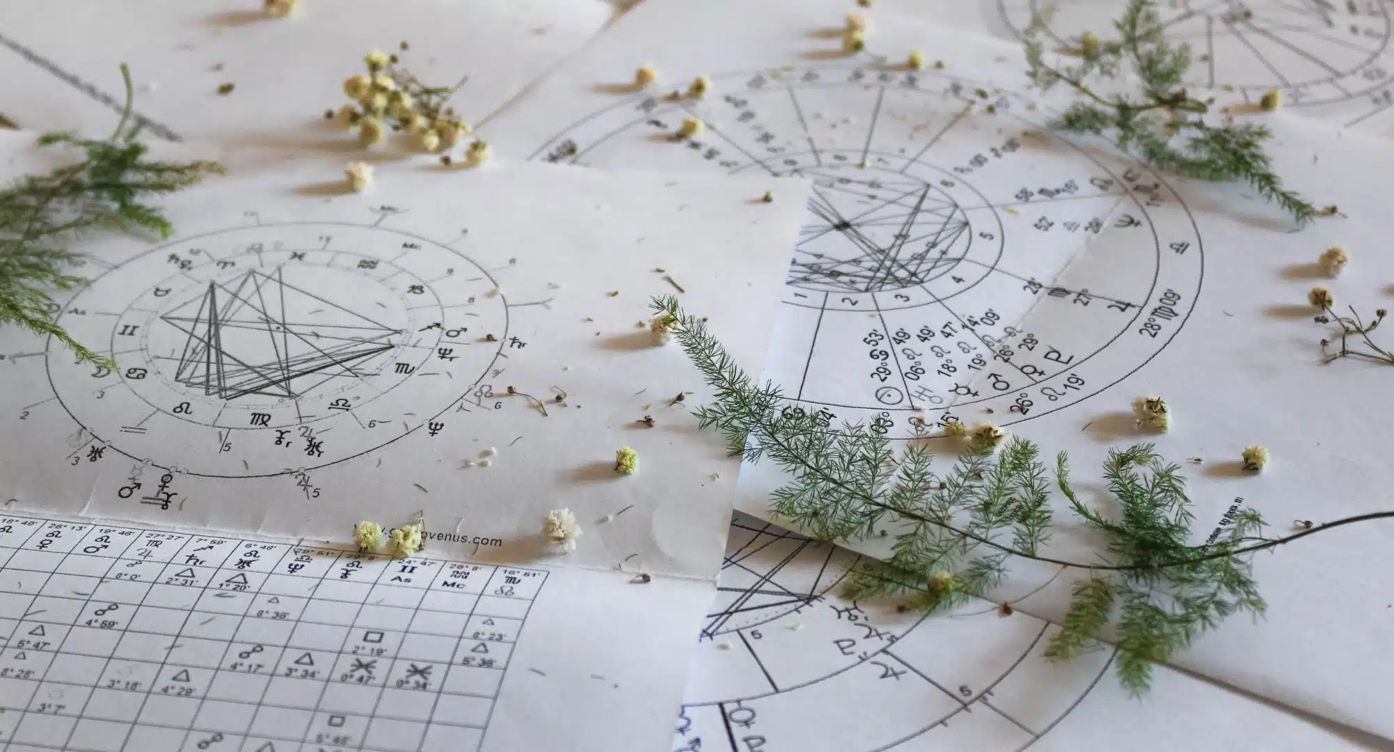 Astrologia wedyjska Astrologia wedyjska