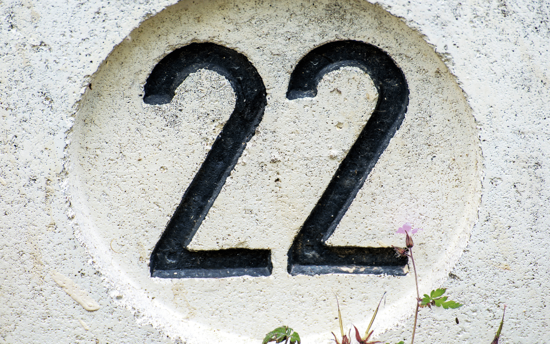 Mistrzowska liczba 22