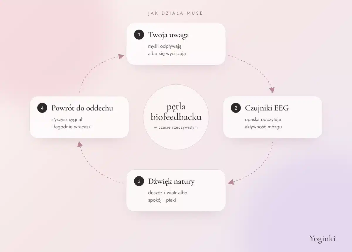 Pętla biofeedbacku w opasce Muse: uwaga, czujniki EEG, dźwięk natury, powrót do oddechu